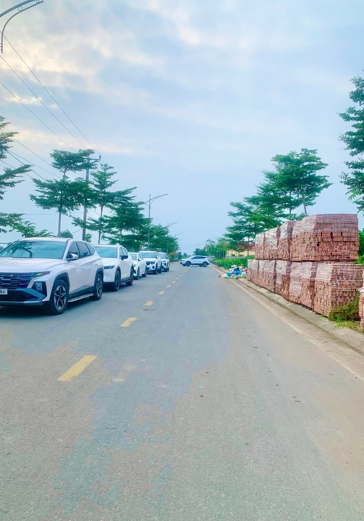 Đất nền kinh doanh tại xã Đoàn Lập, Tiên Lãng, 116m² chỉ 1.1 tỷ - Cơ hội đầu tư tuyệt vời!