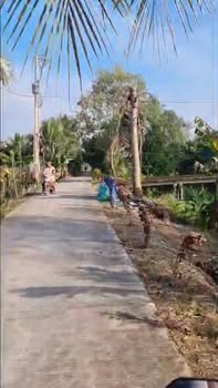 Đất nền Mỹ An, Nhị Mỹ, 500m² giá 580 triệu - Cơ hội đầu tư hấp dẫn!