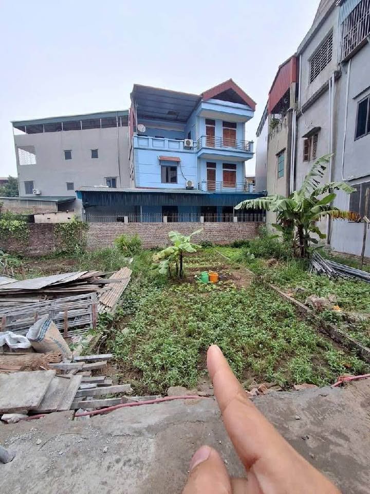 Đất nền Kim Sơn Gia Lâm 46m² - Vị trí đẹp, giá chỉ 2 tỷ!