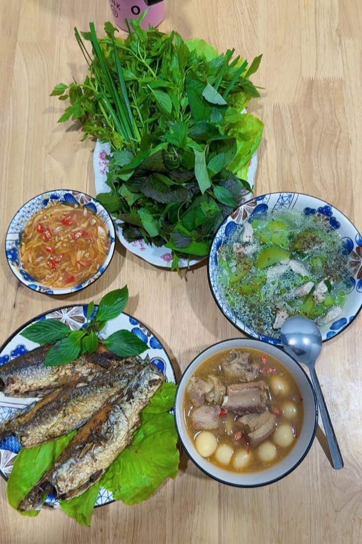 Đất thổ cư Tân Phú 11.000m² giá 44 tỷ - Cơ hội đầu tư sinh lời cao!