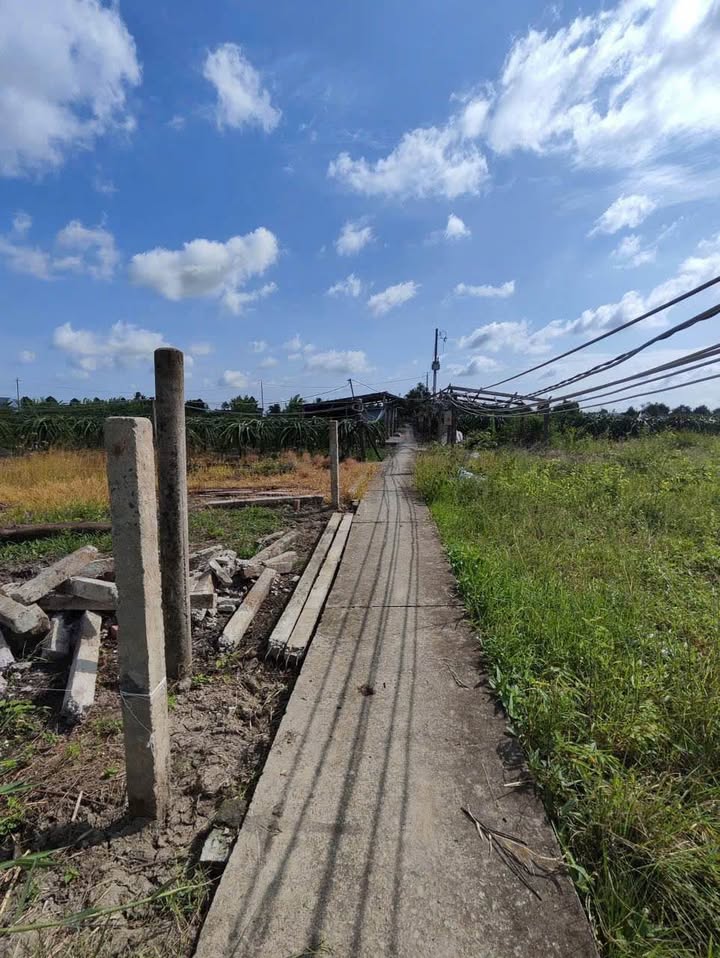 Đất lúa 500m² Hòa Phú, Châu Thành, Long An - Giá chỉ 379 triệu