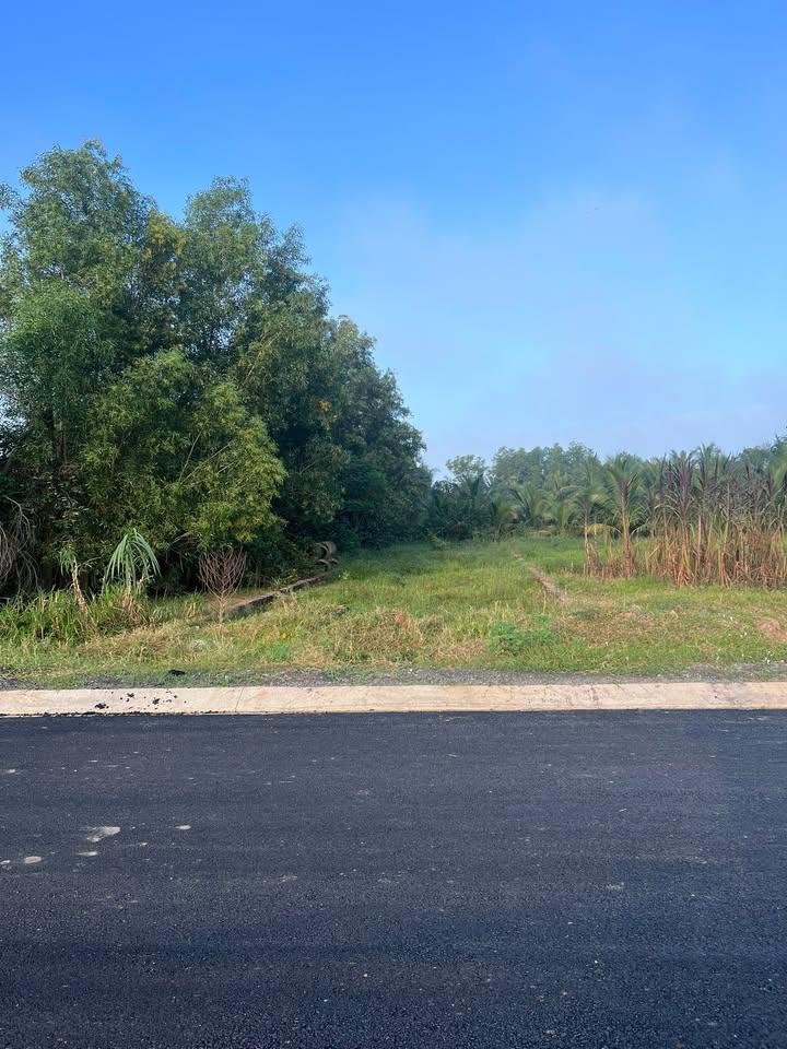 Đất nền Hòa Khánh Đông, Đức Hòa, Long An 266m² giá 2.25 tỷ - Sổ hồng riêng, bớt lộc!