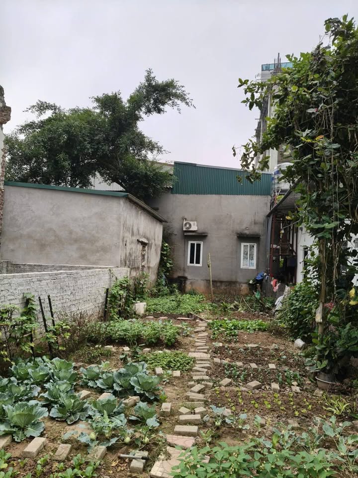 Đất nền Bắc Hồng 99m² giá 10 tỷ - Đầu tư sinh lời nhanh chóng!