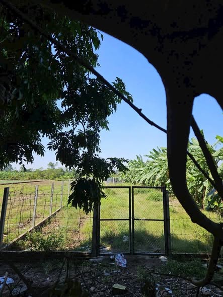 Đất mặt tiền 16m tại Nam Phù, Thanh Trì 750m² giá 2.325 tỷ - Cơ hội đầu tư hấp dẫn!