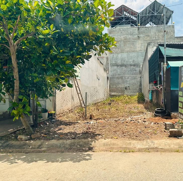 Đất mặt tiền Trần Thủ Độ Phan Thiết 100m² giá 1.95 tỷ - Đầu tư sinh lời ngay!