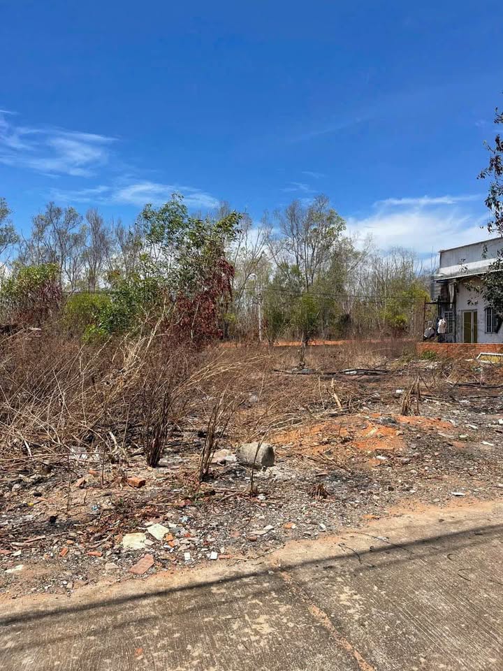 Đất thổ cư mặt tiền nhựa Tiến Thành 150m² giá 1.65 tỷ - Đầu tư sinh lời ngay!