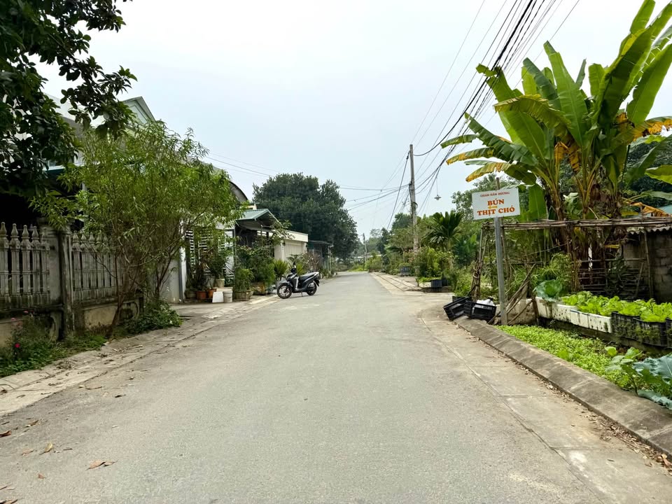 Đất liền kề Tân Hà, Tuyên Quang 58m² giá chỉ 1.6 tỷ - Đầu tư sinh lời cao!