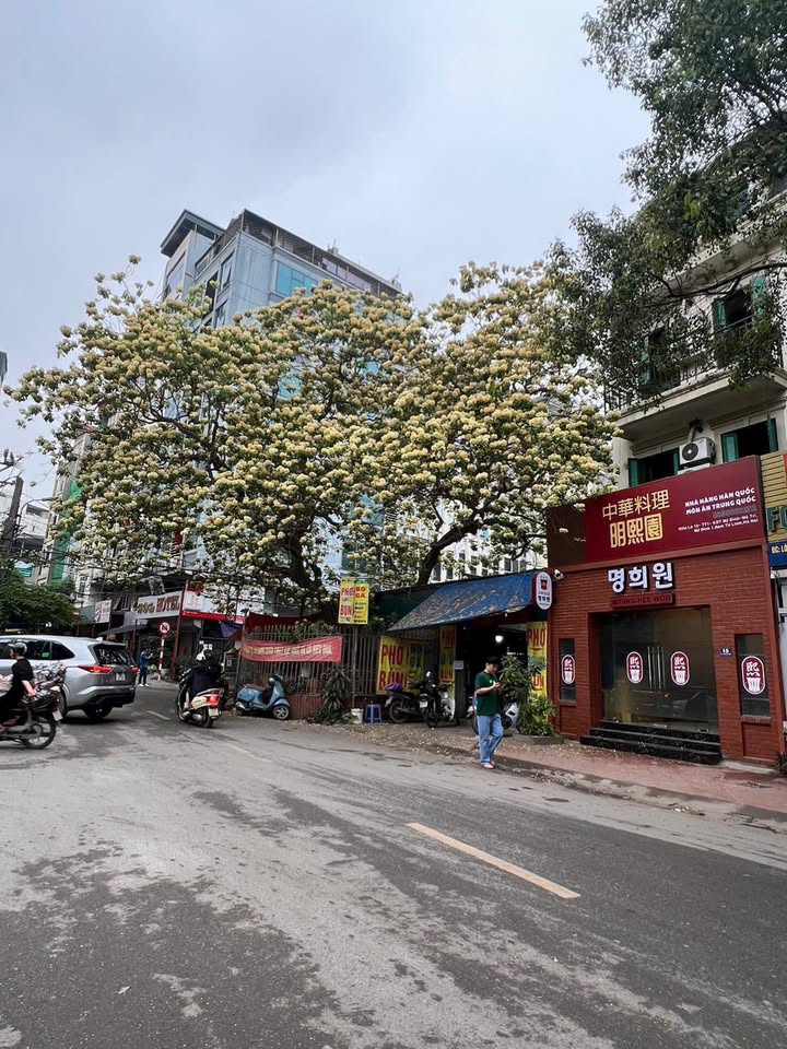 FrontHouse cho thuê tại phố Tô Hiệu, Cầu Giấy 90m² - Mặt tiền 20m vỉa hè cực thoáng!