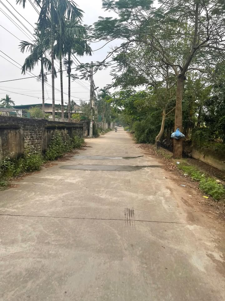 Đất nền Lô góc 83m² Đại Xuyên Phú Xuyên - Giá thỏa thuận, vị trí đắc địa!