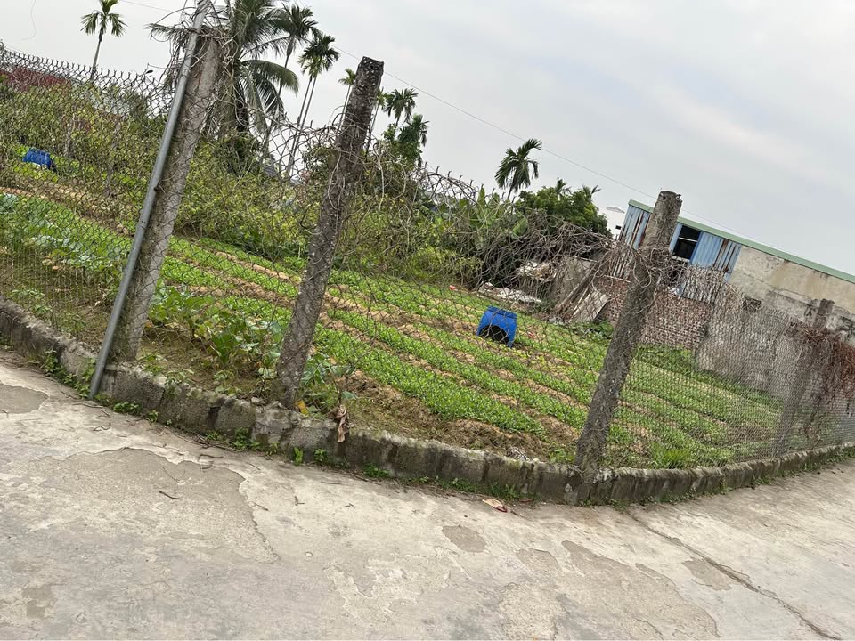 Đất nền Chiến Thắng, An Lão 145m² giá chỉ hơn 1 tỷ - Cơ hội đầu tư hấp dẫn!