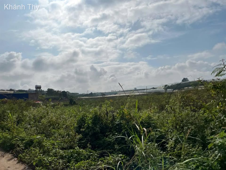 Đất nền Quảng Lập 1020m² giá 1.3 tỷ - Sổ đỏ chính chủ, đường bê tông ô tô vào tận nơi!