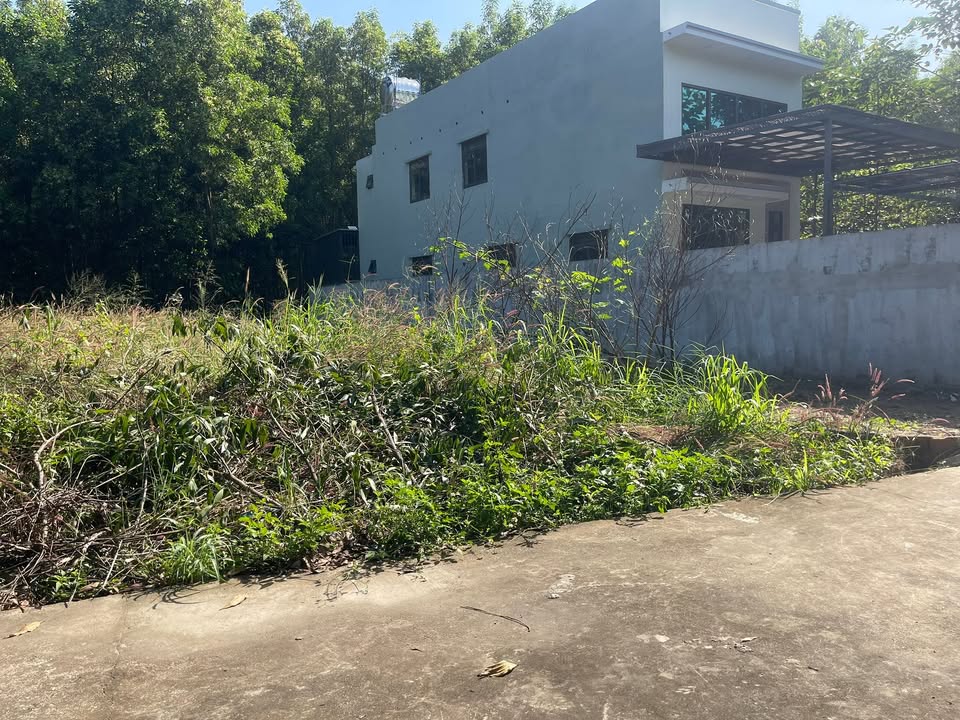 Đất thổ cư 175m² tại An Viễn - Giá chỉ 1.4 tỷ - Cơ hội đầu tư tuyệt vời!