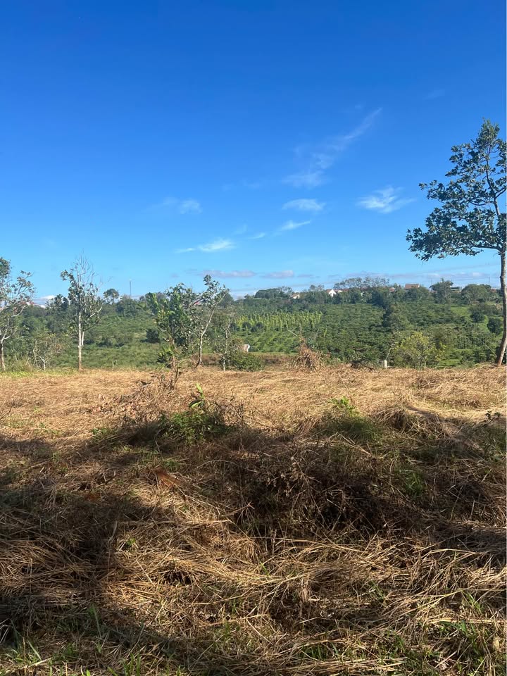 Đất nền 2048m² mặt đường bê tông tại Nhân Cơ - Giá chỉ 999 triệu!