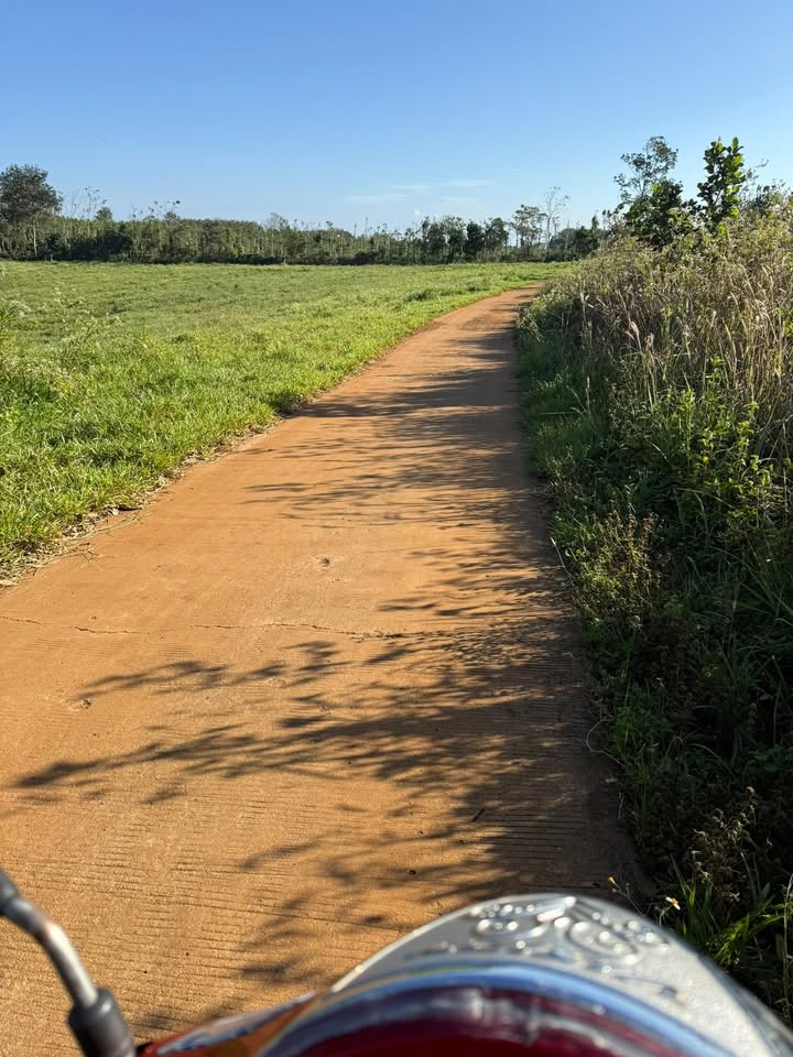 Đất nền 1000m² tại Nhân Đạo, Đắk R'Lấp giá 430 triệu - Đầu tư sinh lời ngay!