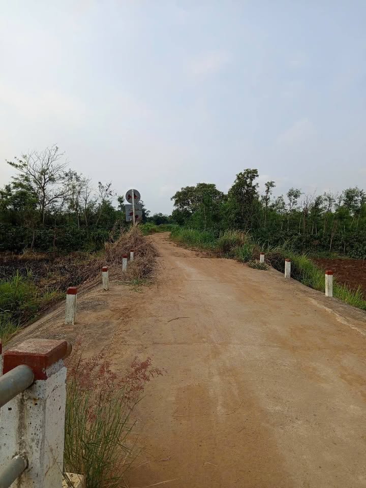 Đất nền hơn 7 sào tại thị trấn Ea Kar - Giá chỉ 700 triệu, cơ hội đầu tư tuyệt vời!