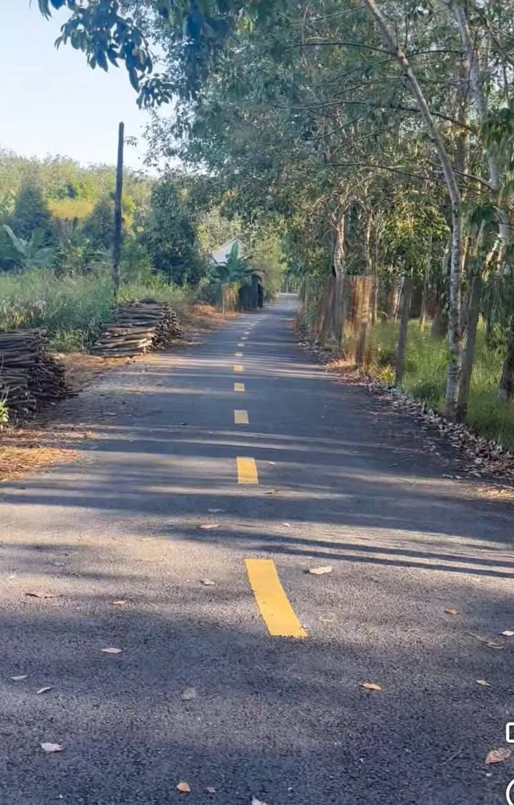 Đất nền mặt tiền ĐT 741, Phước Hoà, 270m² giá 1.7 tỷ - Cơ hội đầu tư tuyệt vời!