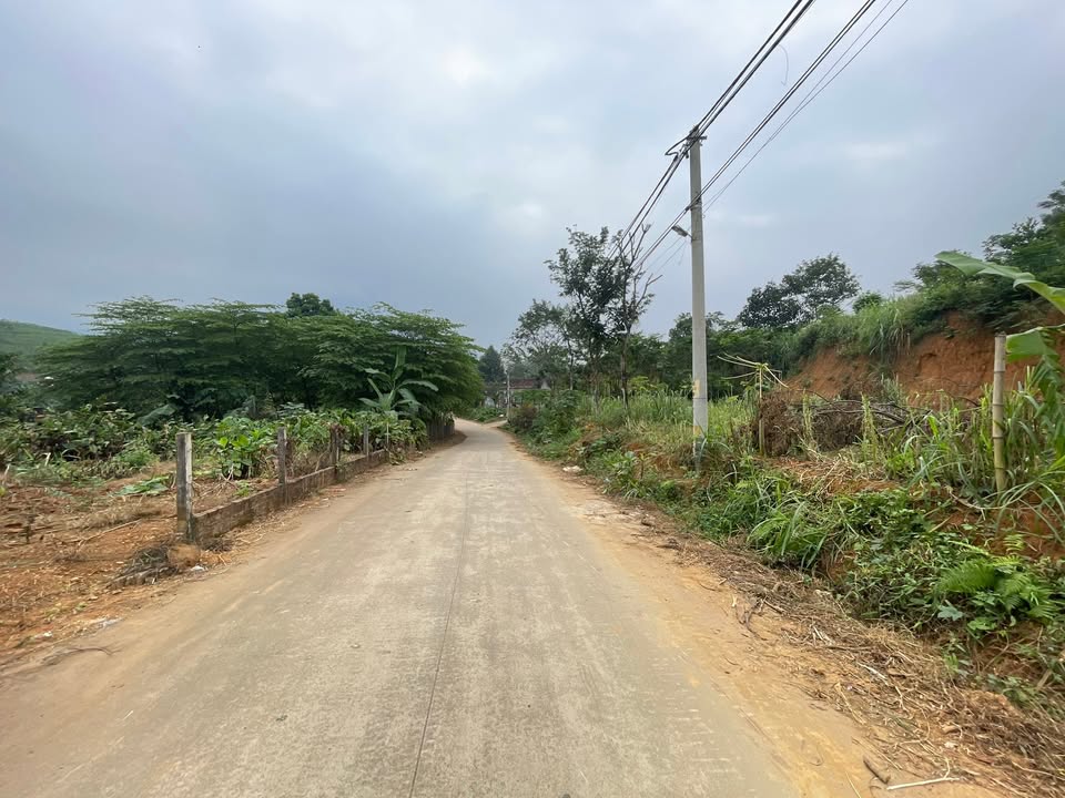 Đất thổ cư Ba Vì 1080m² giá 3 tỷ - View núi thoáng mát lý tưởng cho nghỉ dưỡng