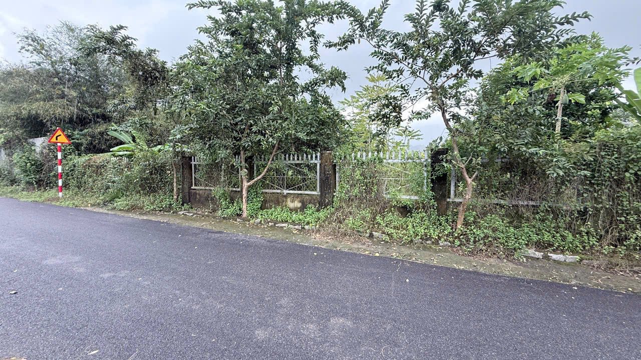 Farm Cây Sung, Diên Thọ 2276m² giá 5.8 tỷ - Đầu tư bền vững tại thiên nhiên!