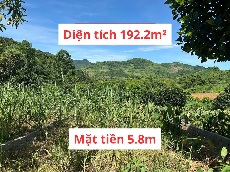 Đất nền xã Bắc Phong, huyện Cao Phong 192.2m² giá 530 triệu - Sổ hồng chính chủ!