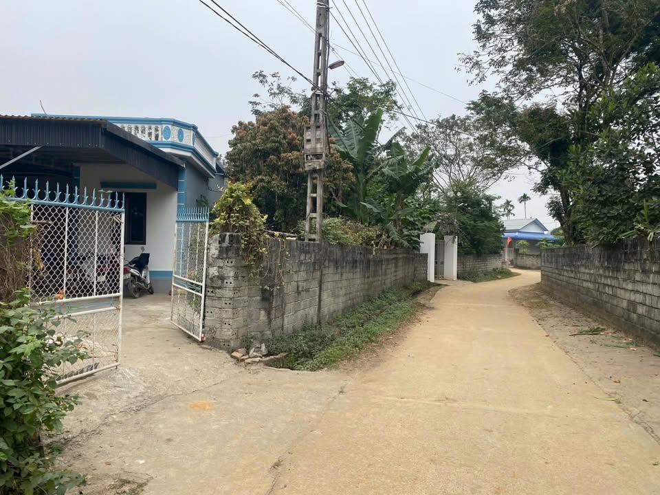 Đất nền Cao Dương, Lương Sơn 121m² giá 600 triệu - Đường ô tô tránh nhau!