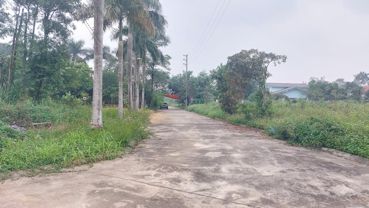 Đất Nhuận Trạch, Lương Sơn 510m² giá 3 tỷ - Sổ đỏ chính chủ, đường rộng ô tô tránh nhau!