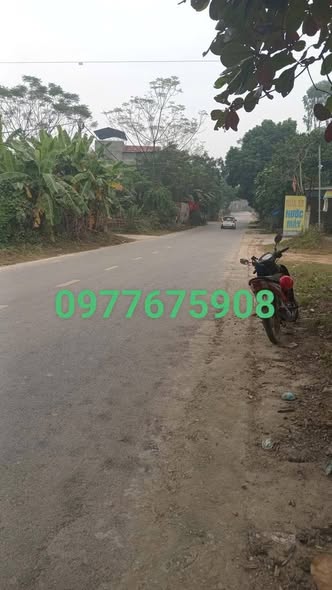 Lô đất Yên Thạch, Sông Lô 100m² giá 2 tỷ - Tiềm năng đầu tư lớn!