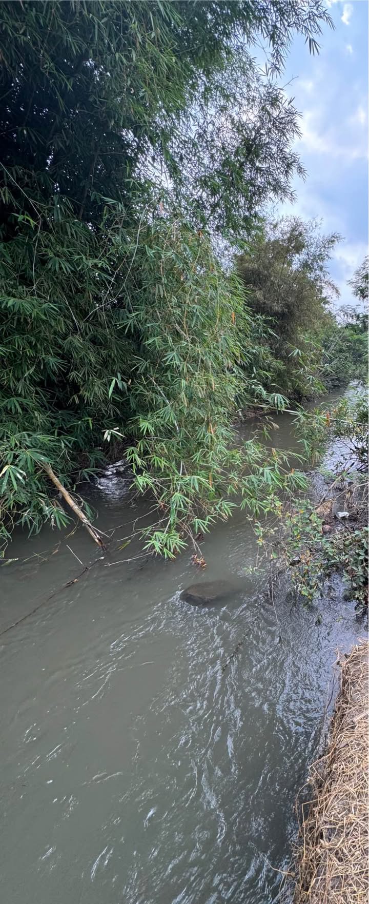 Đất sào Bảo Vinh, Long Khánh 1500m² giá 400 triệu - Gần khu dân cư đông đúc