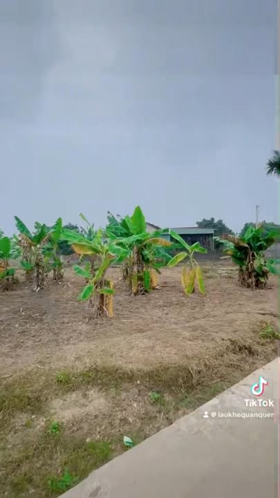 Đất nền Châu Quang, Quỳ Hợp 633m² giá 700 triệu - Đầu tư sinh lời ngay!