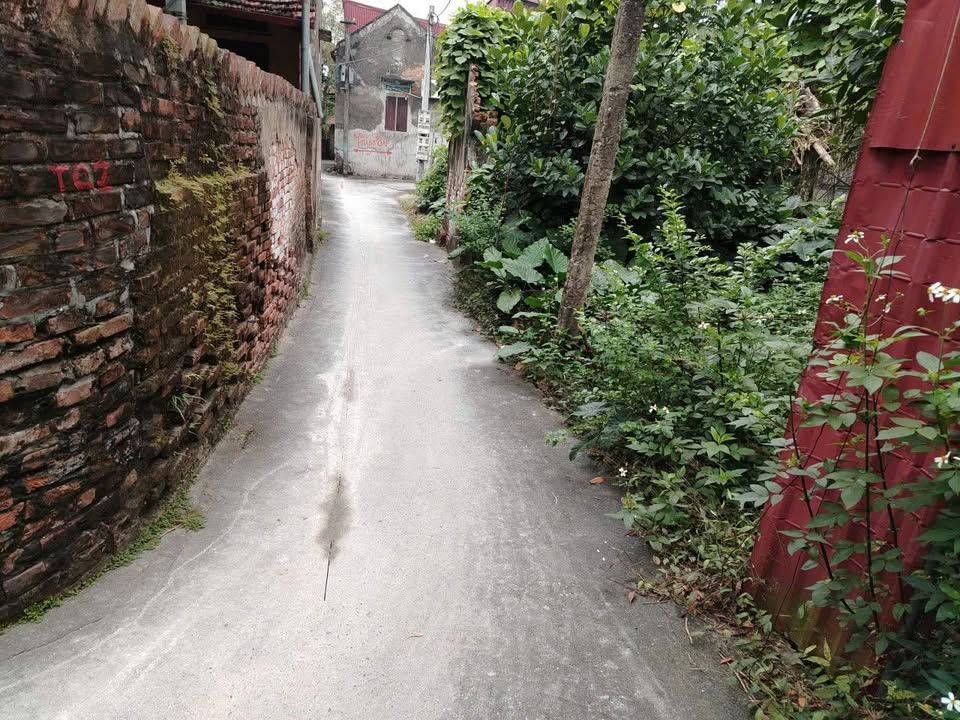 Đất nền Hồng Tiến Khoái Châu 470m² giá 4 tỷ - Lô góc đẹp hiếm có