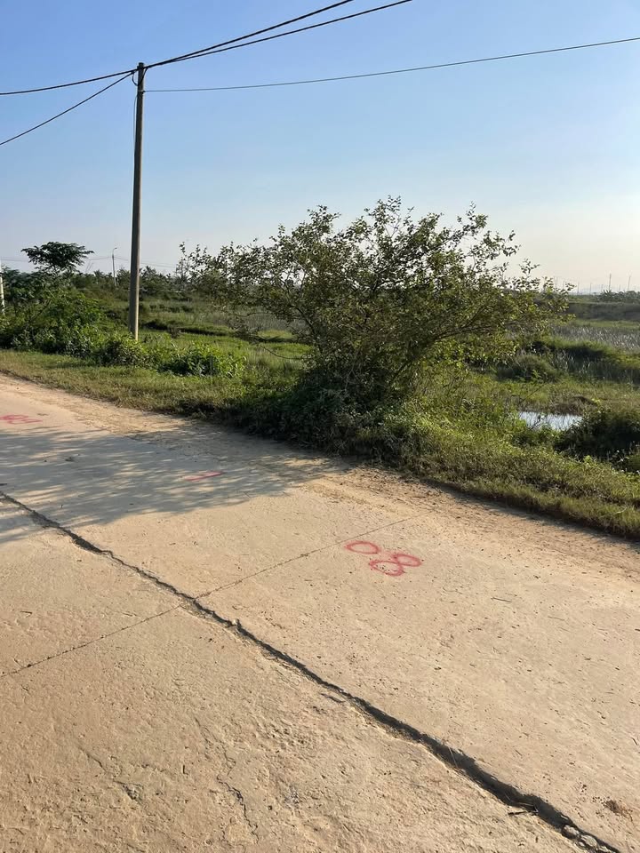 Đất Mặt Sông Hưng Long Nga Tân 100m² - Tiềm năng đầu tư lớn!