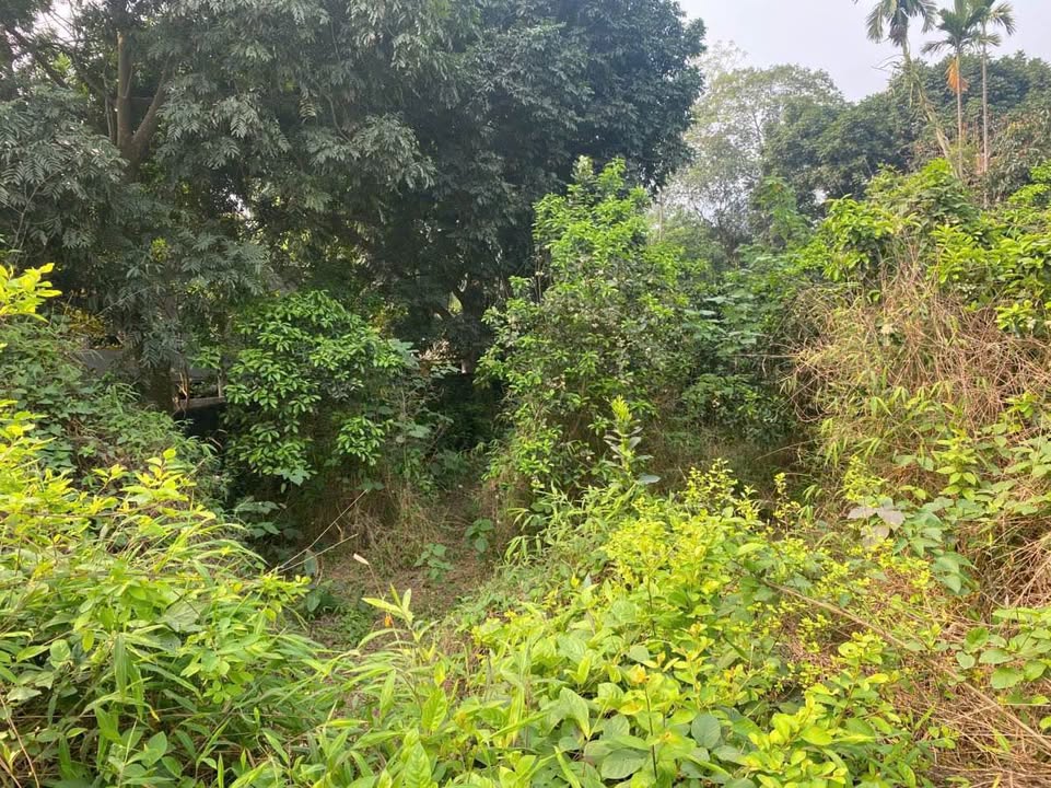 Đất nền 1088m² tại xóm Mái, Lương Sơn - Giá thỏa thuận, view núi đẹp!