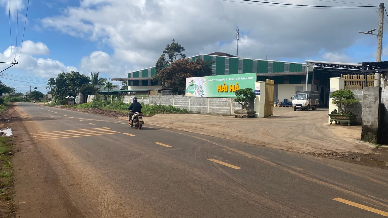 Đất nhà vườn siêu đẹp Tỉnh lộ 8 Pơng Drang 2425m² giá 5 tỷ - Cơ hội đầu tư tuyệt vời!