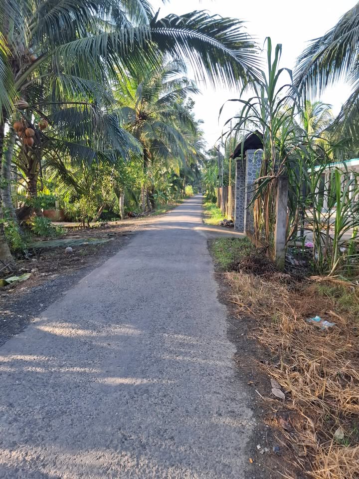 Đất nền 1000m² mặt tiền lộ nhựa, ấp An Thành Tây, Vĩnh Long - Chỉ 799 triệu!