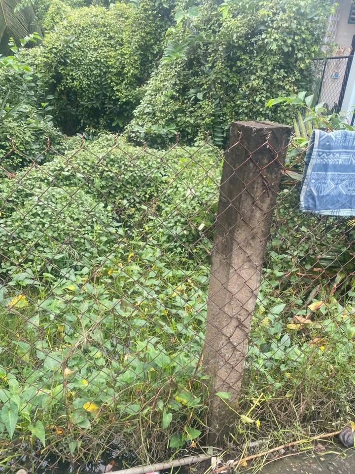 Đất thổ cư 222m² tại Tân Ân, Cần Đước - Chỉ 420 triệu, bán gấp!