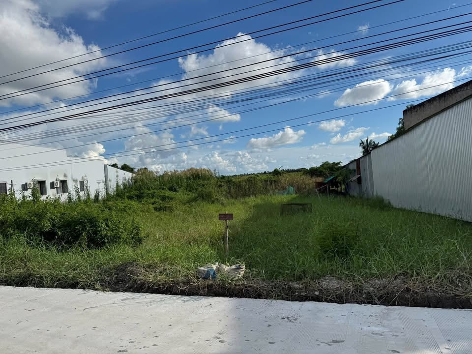 Đất nuôi trồng thủy sản tại An Xuyên, Cà Mau 900m² - Mặt tiền lộ ô tô tải