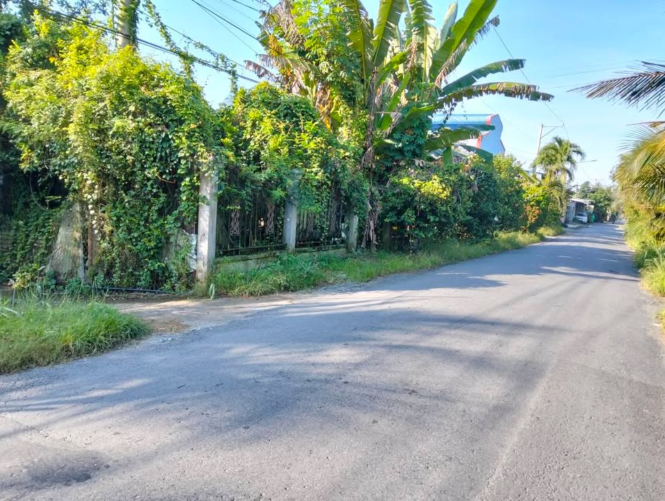 Đất nền 304m² khu phố Bình Lợi, Mỹ Phong - Giá chỉ 500 triệu, thương lượng nhẹ!