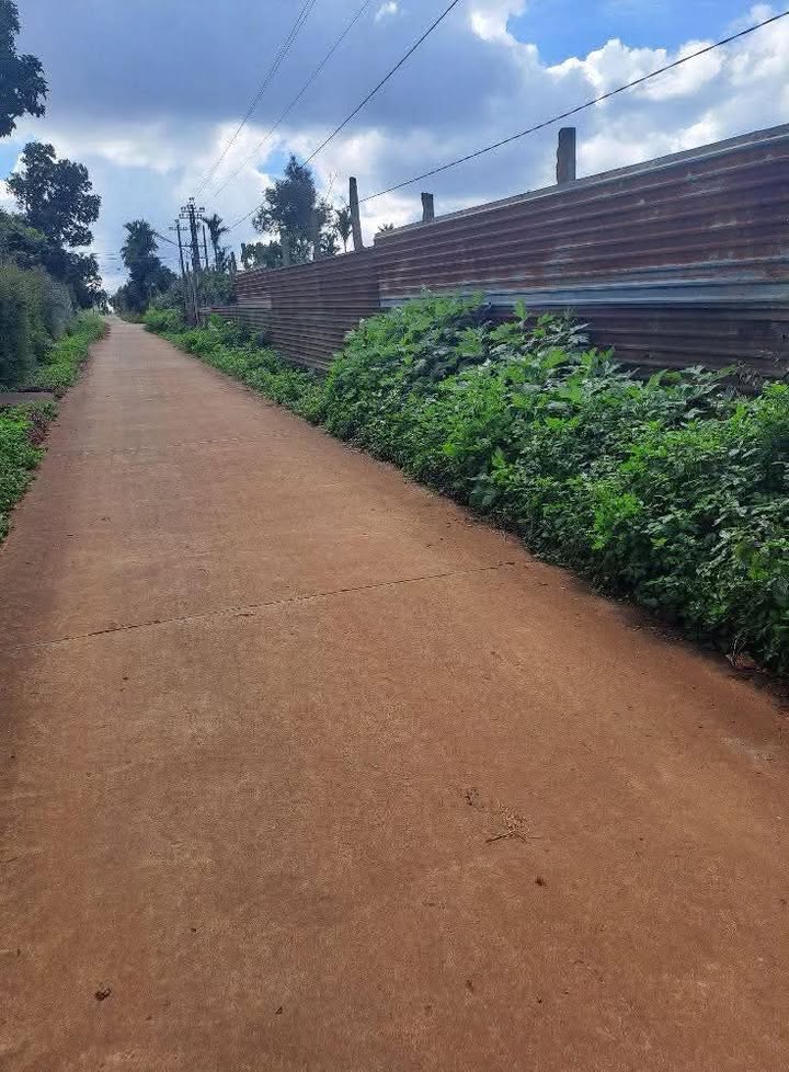 Đất thổ cư mặt đường Trần Phú, Buôn Hồ 300m² giá 1.6 tỷ - Cơ hội đầu tư tuyệt vời!