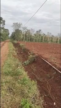 Đất nền Cư Bao, Buôn Hồ, Đắk Lắk - 117m² giá 6.435 tỷ - Sổ đỏ chính chủ, đường ô tô vào tận nơi!