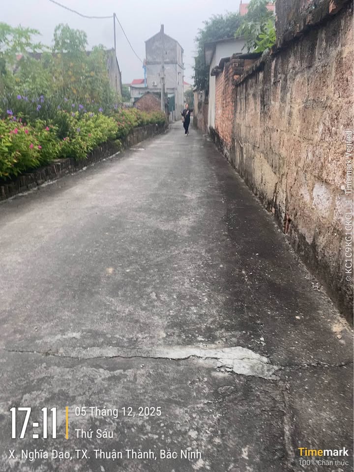 Đất nền thôn Đông Lĩnh, Nghĩa Đạo 115m² giá chỉ 2.05 tỷ - Ô tô vào tận đất!