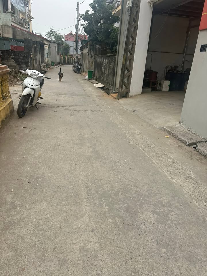 Đất nền Nhị Khê 77m² giá thỏa thuận - Cơ hội đầu tư hấp dẫn!