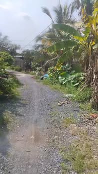 Đất Kp Gia Huỳnh, Phường Trảng Bàng 200m² giá 850 triệu - Đầu tư sinh lời ngay!