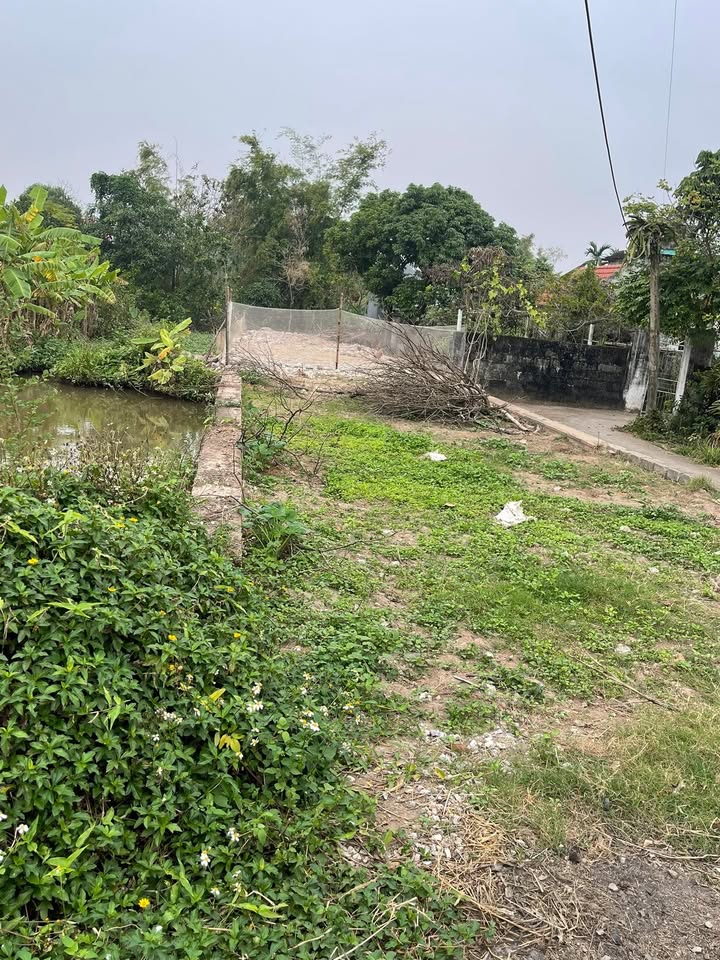 Đất chính chủ Khánh Hội 150m² giá thỏa thuận - Tiềm năng đầu tư cao!