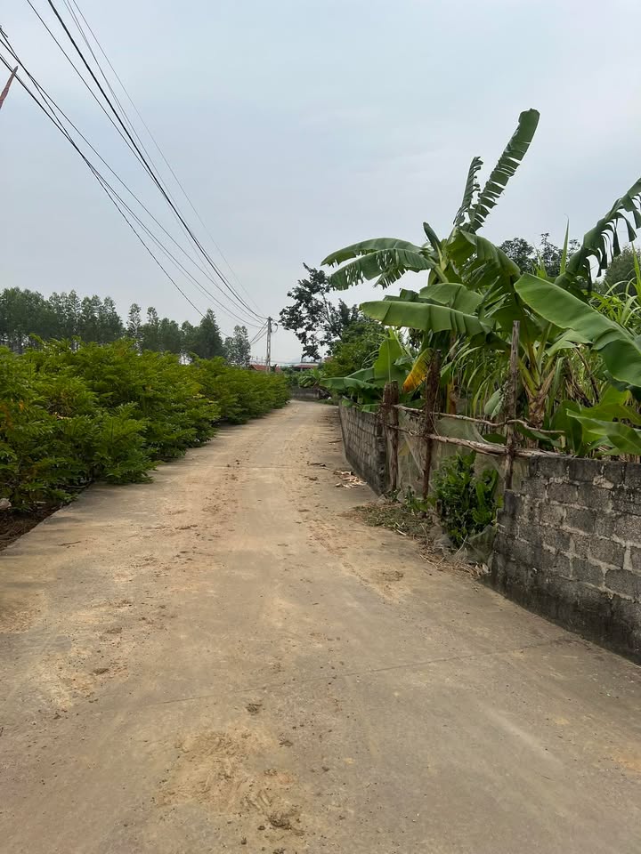 Đất nền Đồi Ngô Lục Nam 270m² giá 500 triệu - Tiện ích đầy đủ, vị trí đẹp!