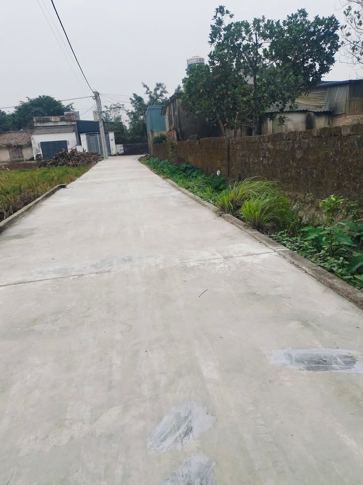 Đất thổ cư Kim Lâm Đồng 100m² - Mặt tiền 5m, giá thương lượng hấp dẫn!