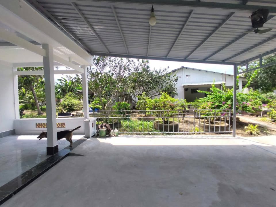 Nhà cho thuê 3PN tại Mỹ Thạnh An, Bến Tre - Không gian thoáng mát, giá chỉ 3.5 triệu!