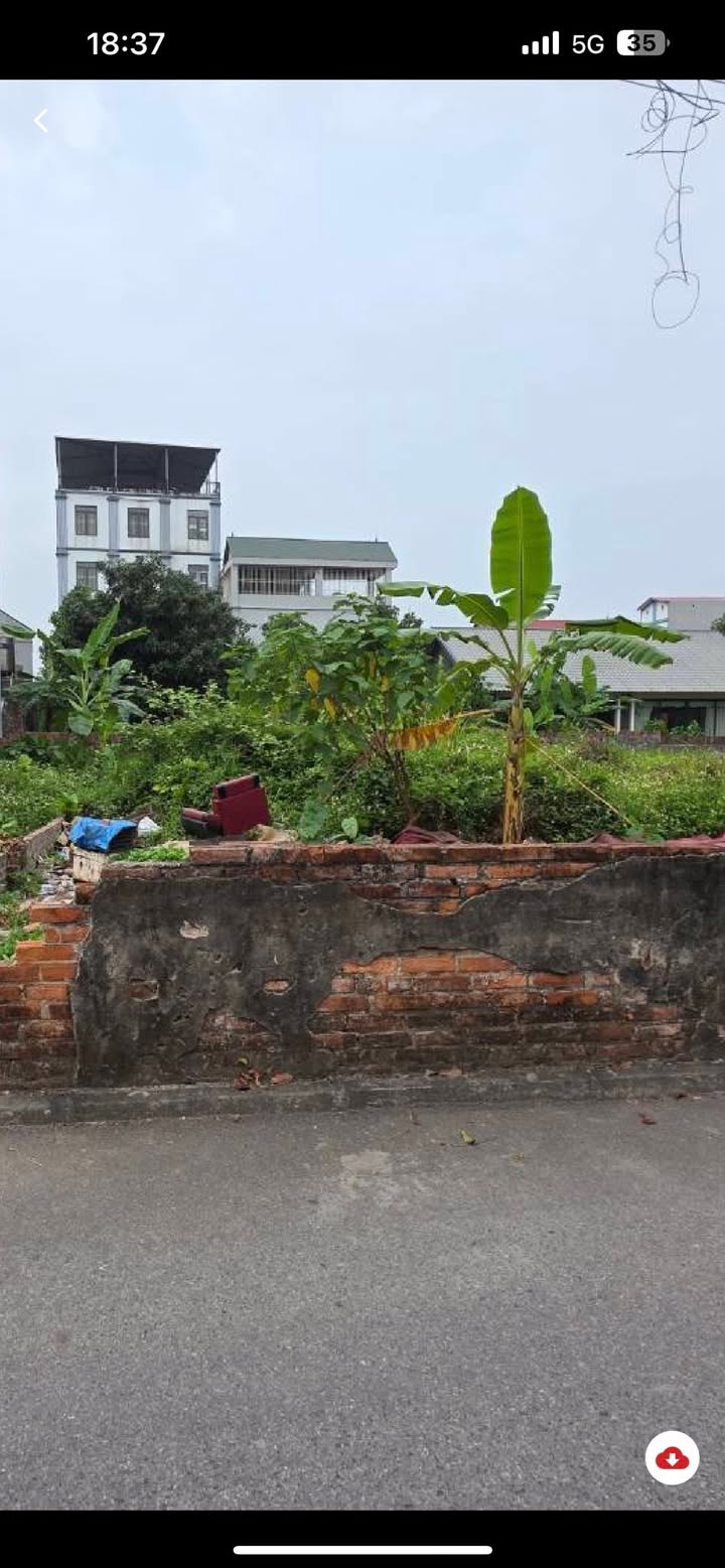 Đất nền Kiêu Kỵ, Gia Lâm 98m² giá 7.3 tỷ - Sổ đỏ chính chủ, giao dịch ngay!