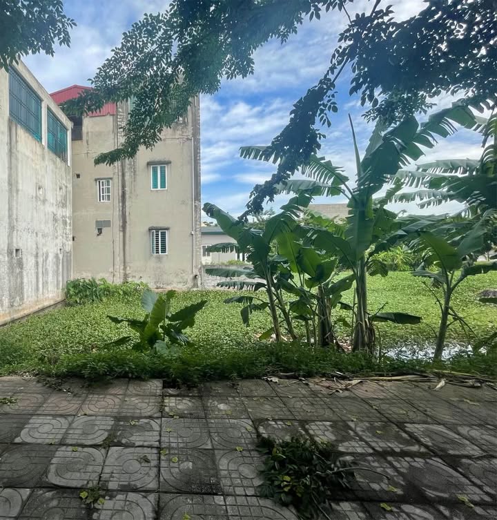 Đất nền Thiên Sơn, Hoa Lư 135m² giá thỏa thuận - Cơ hội đầu tư hấp dẫn!