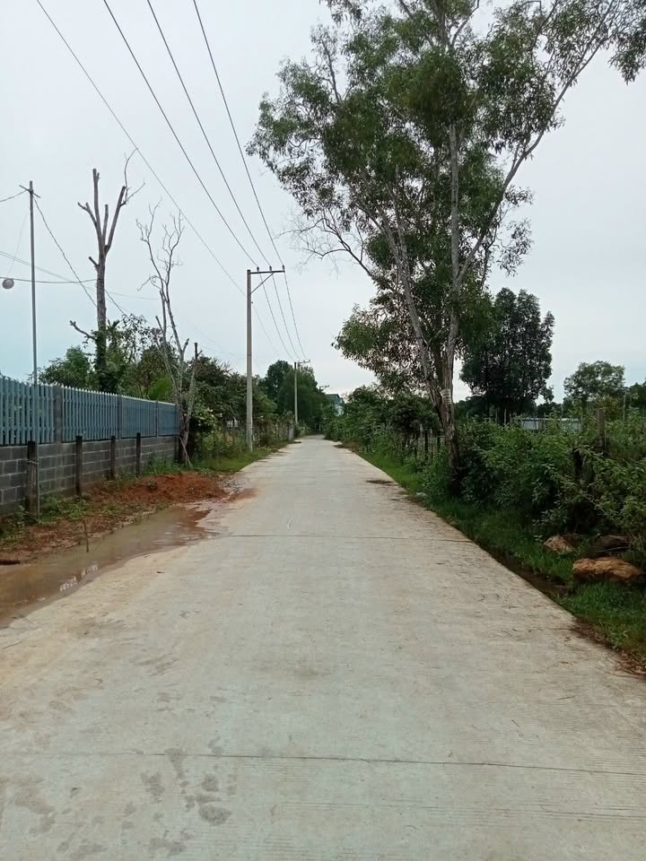 Lô đất mặt tiền Hương Toàn, Bến Tràm, Phú Quốc 1500m² giá 9.5 tỷ - Cơ hội đầu tư hiếm có!