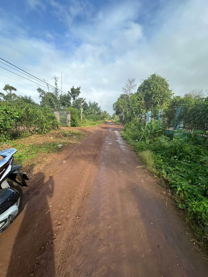 Đất nền Hòa Đông Củ Chi 260m² giá 720 triệu - Đầu tư sinh lời cao!