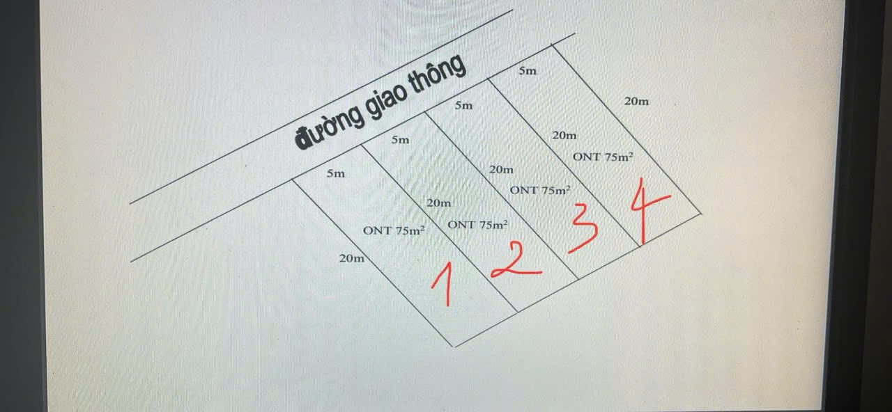 Đất nền Tân Yên 100m² giá chỉ 400 triệu - Cơ hội đầu tư tuyệt vời!